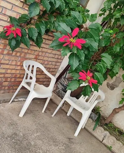 Toma House アパート *