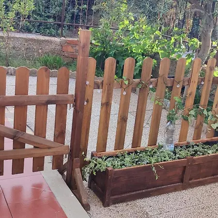 Apartment Toma House