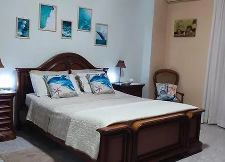 Apartment Toma House