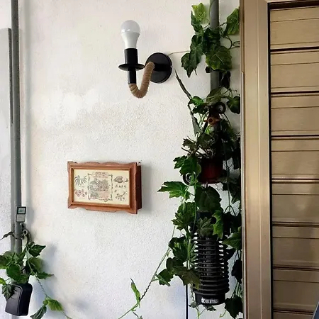 Appartamento Toma House